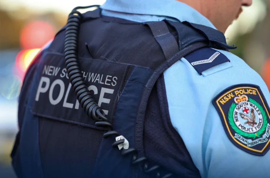 Manly Vale car theft
